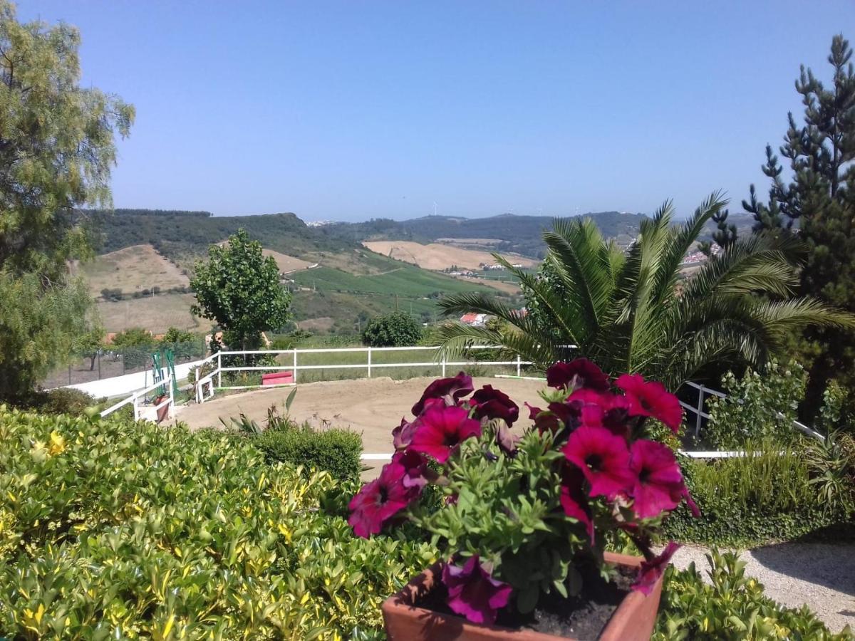 Casinha De Campo- Quintinha Dos Cavalos- Arruda Dos Vinhos Ngoại thất bức ảnh