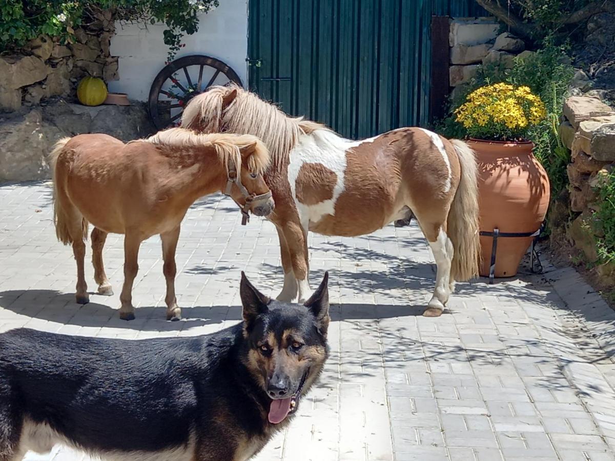 Casinha De Campo- Quintinha Dos Cavalos- Arruda Dos Vinhos Apartment Ngoại thất bức ảnh