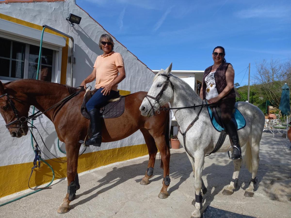 Casinha De Campo- Quintinha Dos Cavalos- Arruda Dos Vinhos Apartment Ngoại thất bức ảnh