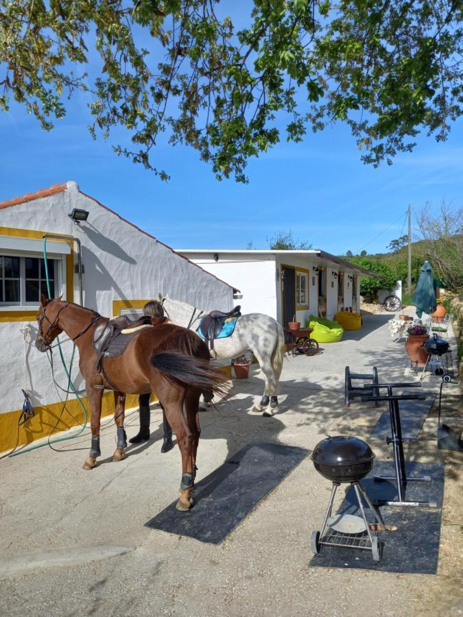 Casinha De Campo- Quintinha Dos Cavalos- Arruda Dos Vinhos Apartment Ngoại thất bức ảnh