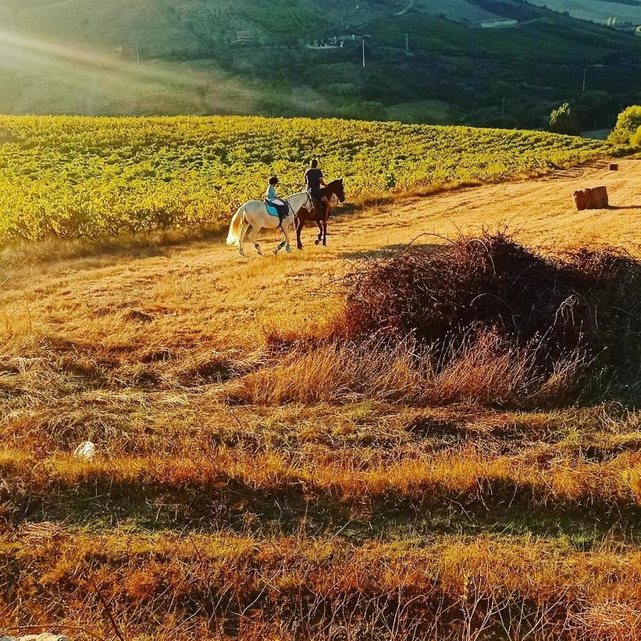 Casinha De Campo- Quintinha Dos Cavalos- Arruda Dos Vinhos Apartment Ngoại thất bức ảnh